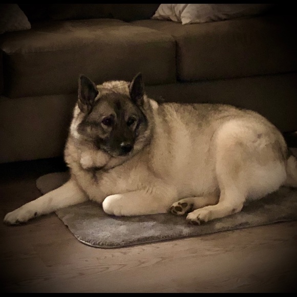 Meet your Posher, Janet - Picture 10 of 10